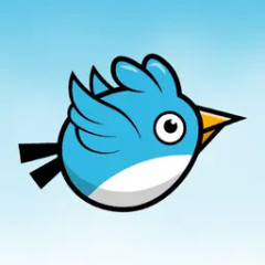 Bird Up