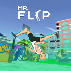 Mr. Flip