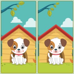 Spot 5 Differences
